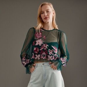 Anthropologie Sheer Embroidered Top M
